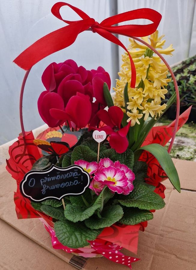 Aranjamente florale din flori proaspete